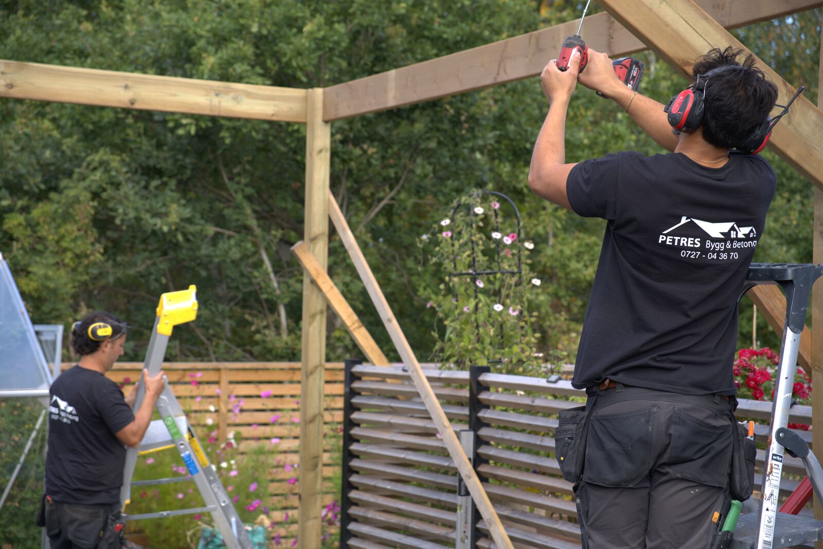 Två snickare monterar trästommen till en pergola i en trädgård